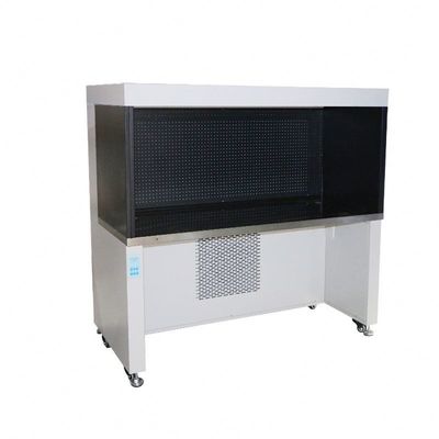 Gerade kleine Laminar Flow Hood Reinbank SS 304 Mini Laminar Flow Schrank