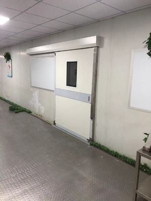 Industrielle automatische Schiebetüren aus Stahl. 1500 kg Ladekapazität und IP65 Wettersicherheit für Lager/Dock.